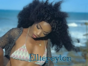elliepeyton Archive DVD BIZ