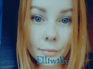 elliwilly Archive DVD BIZ