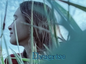 elvagrise Archive DVD BIZ