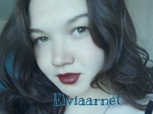 Elviaarnet