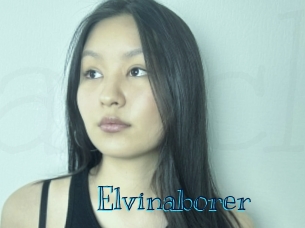 Elvinaborer