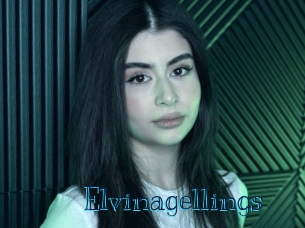 elvinagellings Archive DVD BIZ