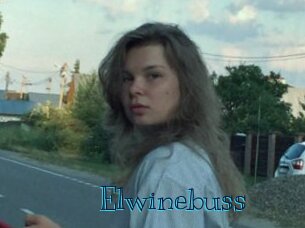 Elwinebuss