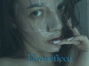 elwineflood Archive DVD BIZ