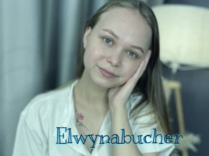 elwynabucher Archive DVD BIZ