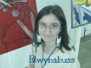 Elwynabuss