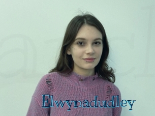 Elwynadudley