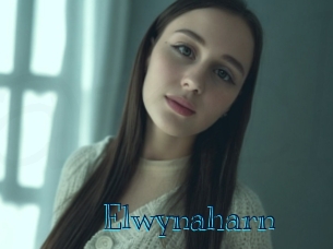 elwynaharn Archive DVD BIZ