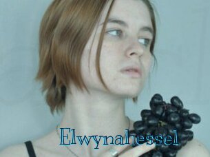 Elwynahessel