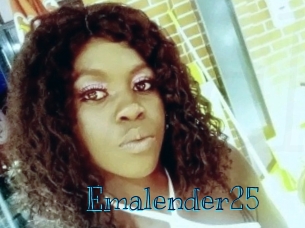 emalender25 Archive DVD BIZ