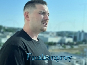 emiliangrey Archive DVD BIZ