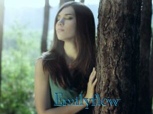 Emilyflow