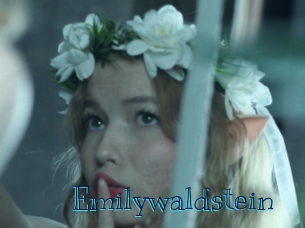 emilywaldstein Archive DVD BIZ