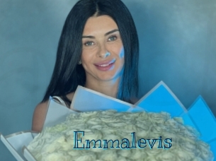 emmalevis Archive DVD BIZ