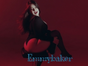 emmybaker Archive DVD BIZ