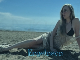 engelneon Archive DVD BIZ