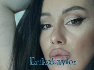 erikabaylor Archive DVD BIZ
