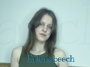 Erlenebeech