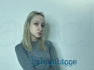 Erlenebigge
