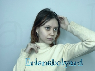 Erlenebolyard