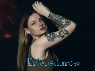erlenedurow Archive DVD BIZ