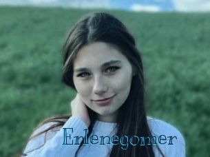 Erlenegomer