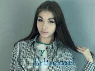 erlinacarl Archive DVD BIZ