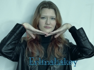 erlinahakey Archive DVD BIZ