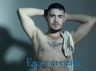 escanorcastle Archive DVD BIZ