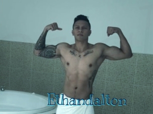 ethandalton Archive DVD BIZ