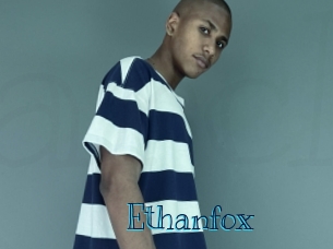 ethanfox Archive DVD BIZ