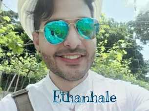 ethanhale Archive DVD BIZ