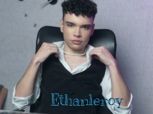 ethanleroy Archive DVD BIZ