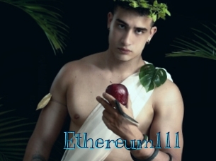ethereum111 Archive DVD BIZ
