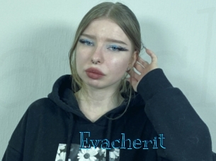 Evacherit