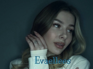 evaellees Archive DVD BIZ