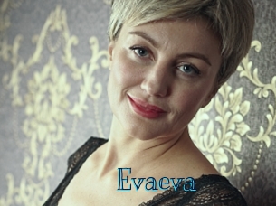 evaeva Archive DVD BIZ