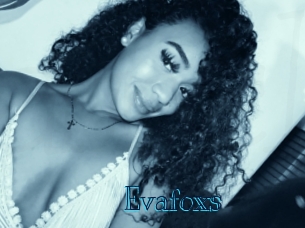 evafoxs Archive DVD BIZ
