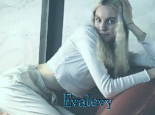 Evalevy