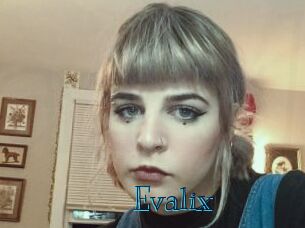 Evalix