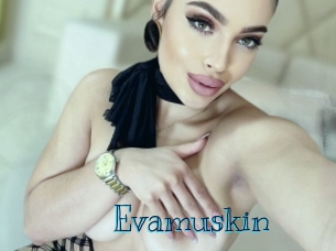 evamuskin Archive DVD BIZ