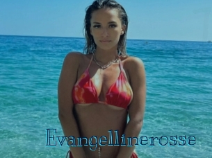 evangellinerosse Archive DVD BIZ