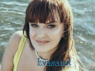 evasaint Archive DVD BIZ