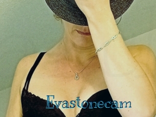 Evastonecam