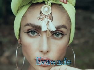 evawade Archive DVD BIZ