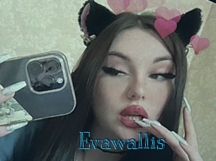 Evawallis