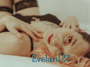 evelan123 Archive DVD BIZ