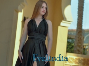 evelindia Archive DVD BIZ