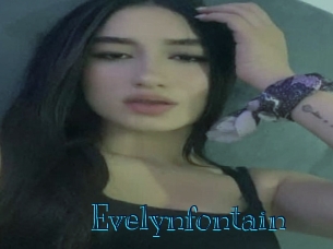 evelynfontain Archive DVD BIZ
