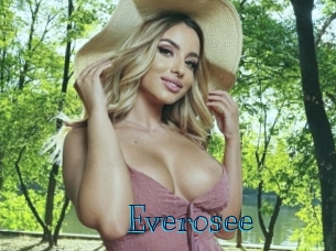 everosee Archive DVD BIZ